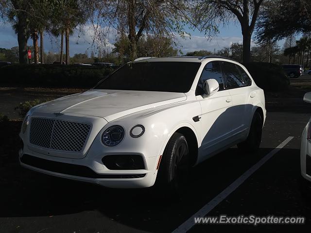 Bentley Bentayga spotted in Brandon, Florida