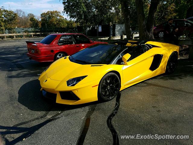 Lamborghini Aventador spotted in Saddle river, New Jersey