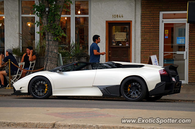 Lamborghini Murcielago spotted in Edmonton, Canada