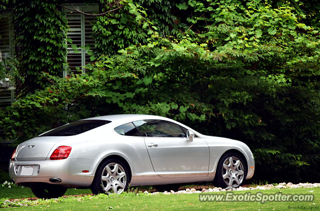 Bentley Continental spotted in Toronto, Canada