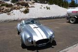 Shelby Cobra