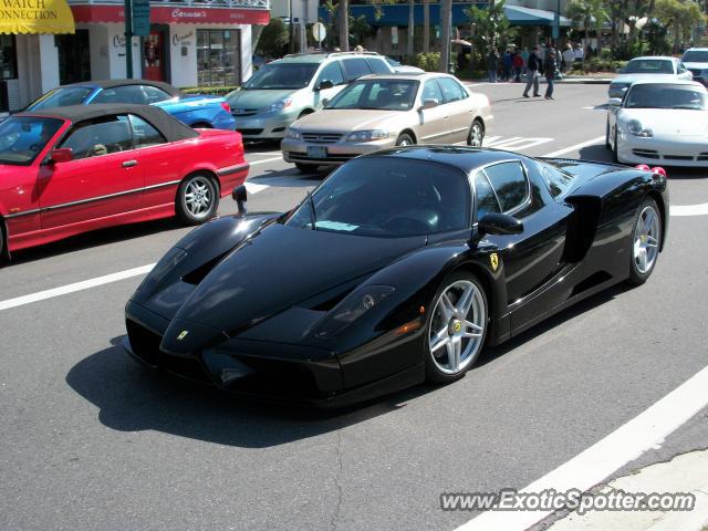 Ferrari Enzo spotted in Sarasota, Florida
