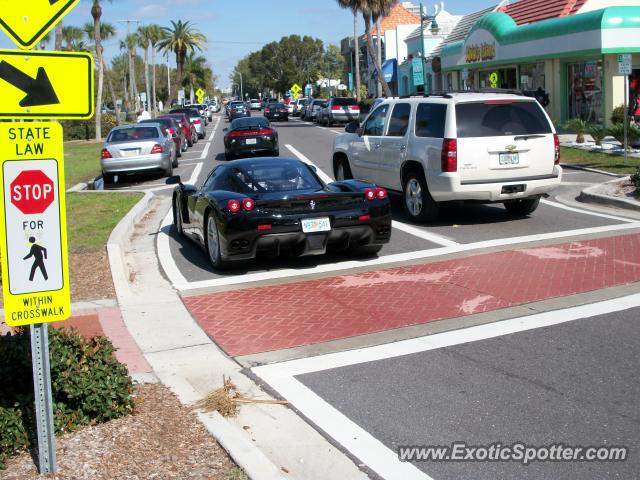 Ferrari Enzo spotted in Sarasota, Florida