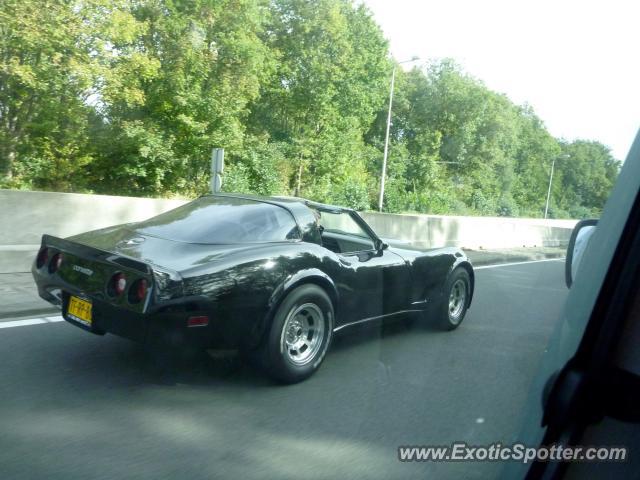 Other Vintage spotted in Highway, Denmark