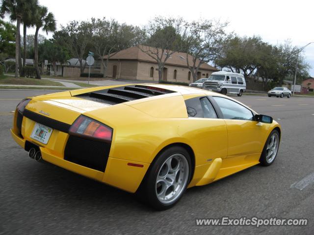 Lamborghini Murcielago spotted in Sarasota, Florida
