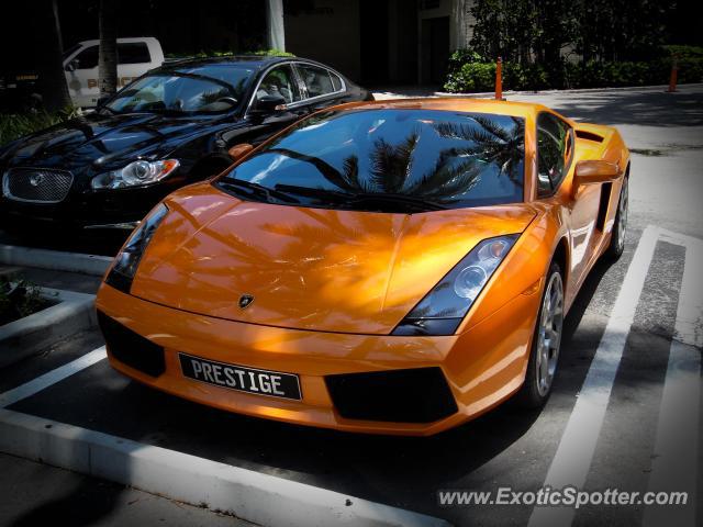 Lamborghini Gallardo spotted in Miami, Florida