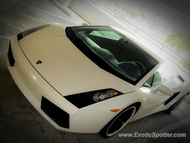 Lamborghini Gallardo spotted in Miami, Florida