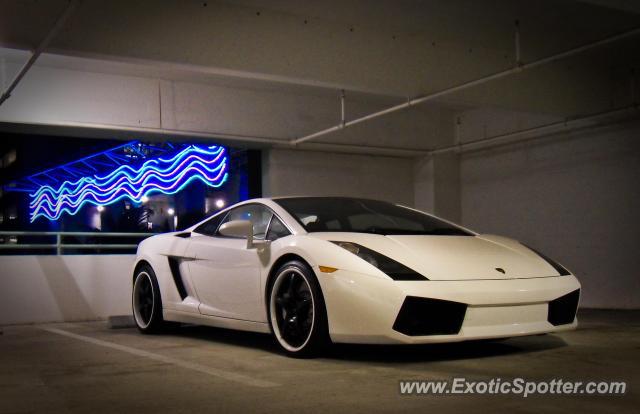 Lamborghini Gallardo spotted in Miami, Florida