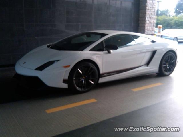 Lamborghini Gallardo spotted in Palm Beach, Florida