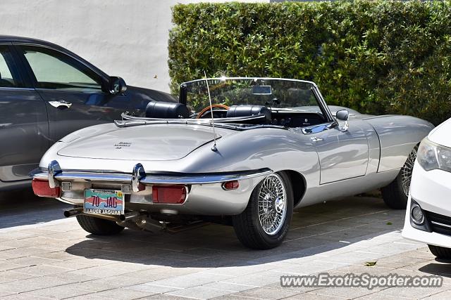 Jaguar E-Type spotted in West Palm beach, Florida