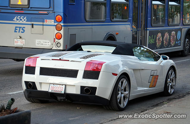Lamborghini Gallardo spotted in Edmonton, Canada