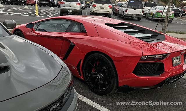 Lamborghini Aventador spotted in Atlanta, Georgia
