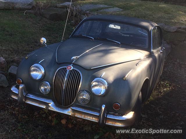 Other Vintage spotted in Branford, Connecticut