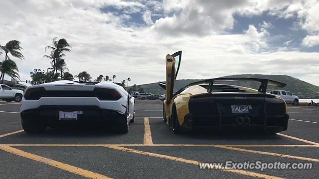 Lamborghini Murcielago spotted in Hawaii Kai, Oahu, Hawaii