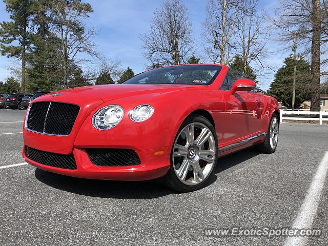Bentley Continental spotted in Milton, Delaware