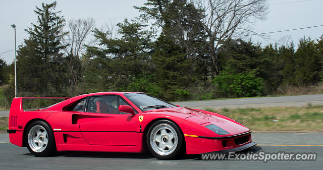 Ferrari F40 spotted in Leesburg, Virginia