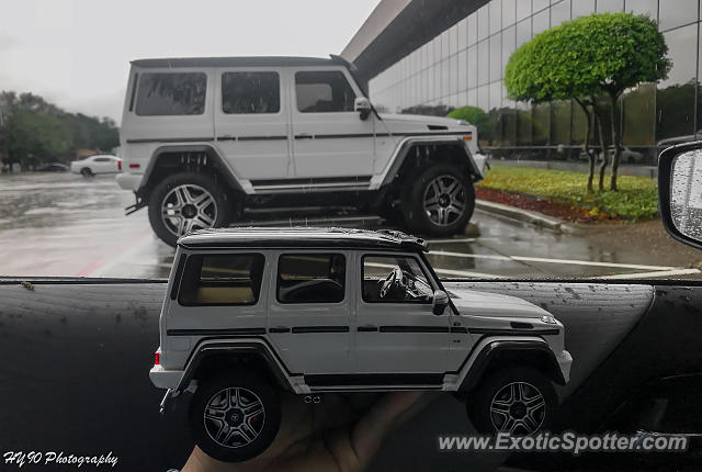 Mercedes 4x4 Squared spotted in Dallas, Texas