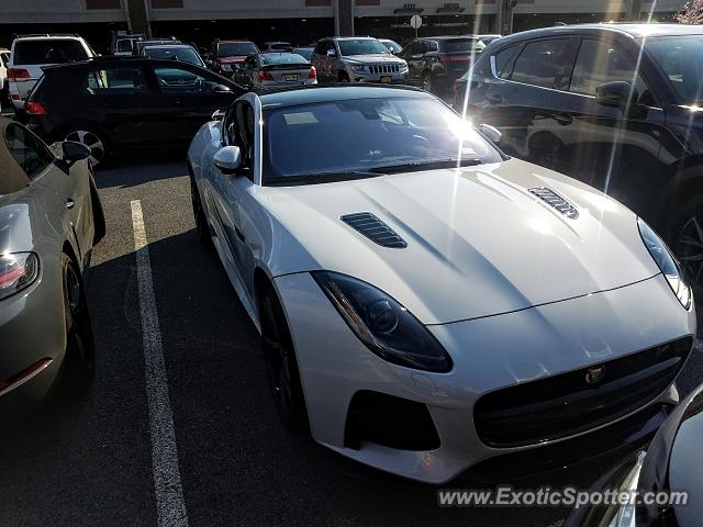 Jaguar F-Type spotted in Woodbury, New York