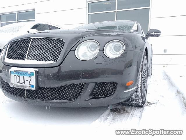 Bentley Continental spotted in Golden Valley, Minnesota