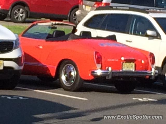Other Vintage spotted in Scotch Plains, New Jersey