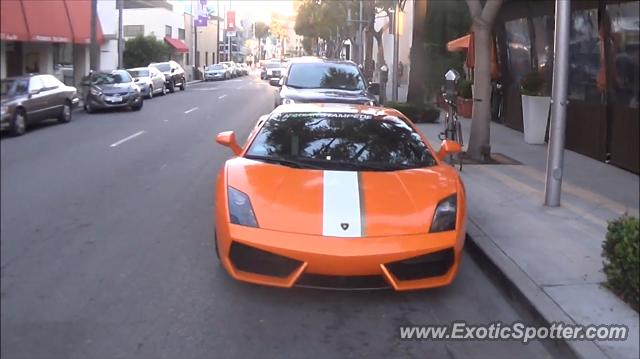 Lamborghini Gallardo spotted in Beverly Hills, California