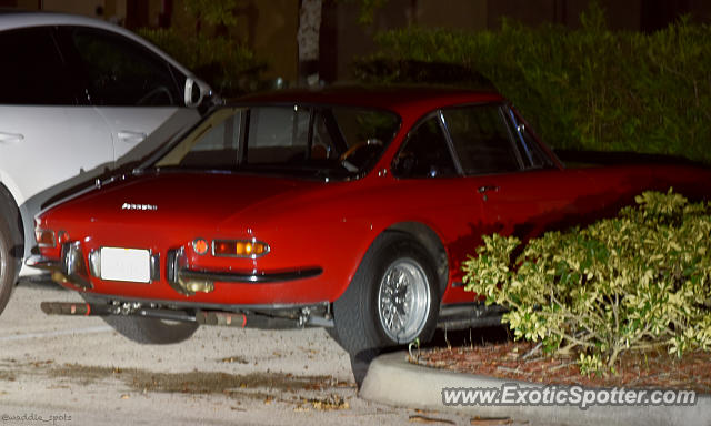 Ferrari 365 GT spotted in Stuart, Florida