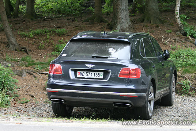 Bentley Bentayga spotted in Luik, Belgium