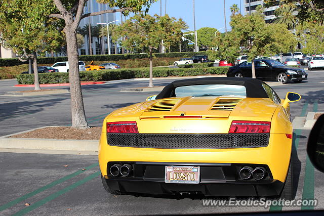 Lamborghini Gallardo spotted in Newport Beach, California