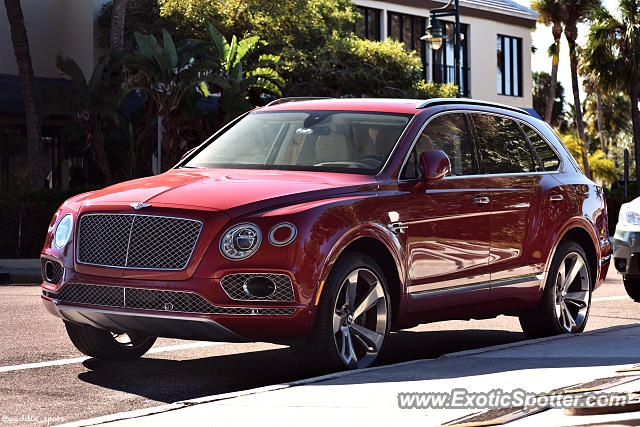Bentley Bentayga spotted in Sarasota, Florida