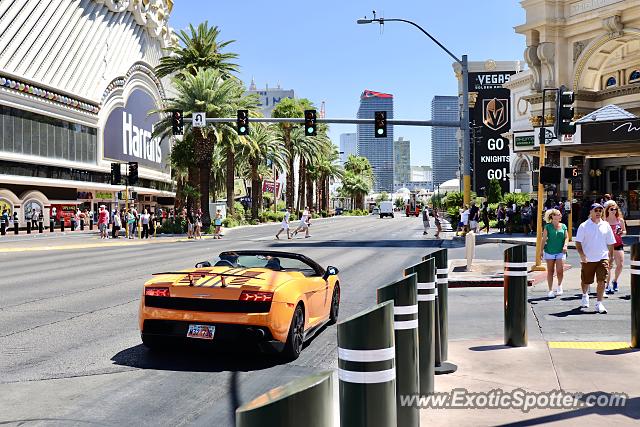 Lamborghini Gallardo spotted in Las Vegas, Nevada