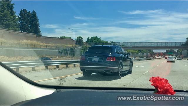 Bentley Bentayga spotted in San Jose, California