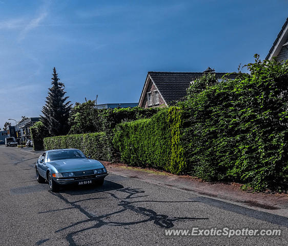 Ferrari 365 GT spotted in Achterveld, Netherlands
