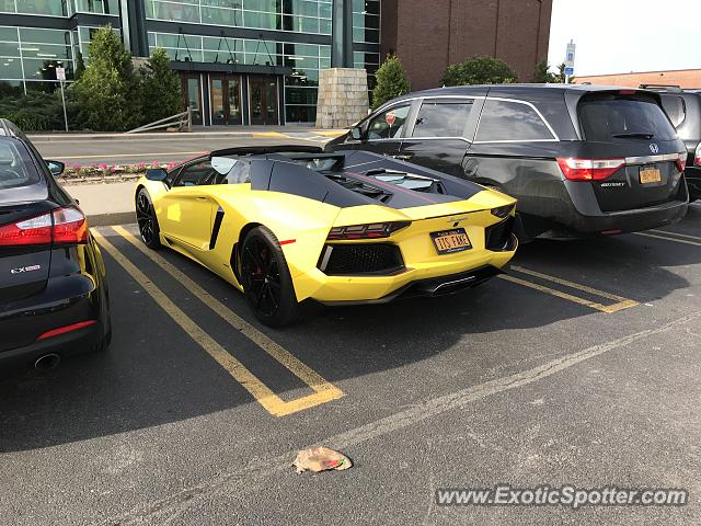 Lamborghini Aventador spotted in Pittsford, New York
