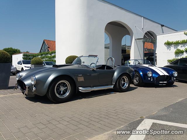 Shelby Cobra spotted in Wevelgem, Belgium