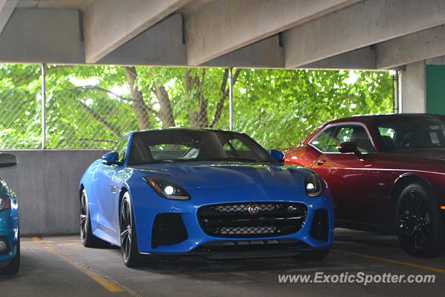 Jaguar F-Type spotted in West Hartford, Connecticut