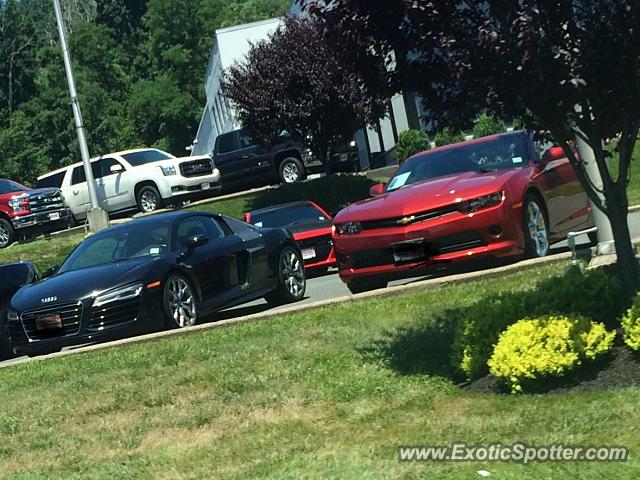 Audi R8 spotted in Watchung, New Jersey
