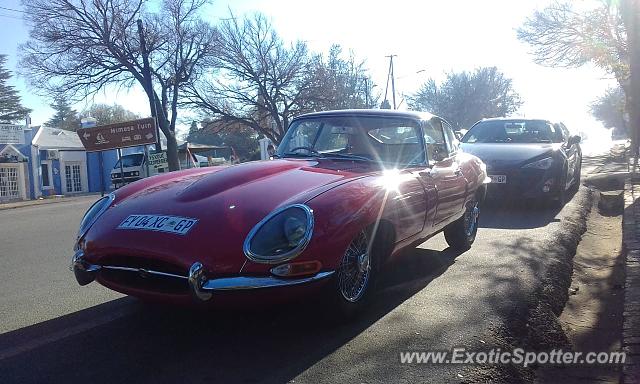 Jaguar E-Type spotted in Parys, South Africa