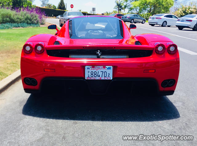 Ferrari Enzo spotted in Rancho Santa Fe, California