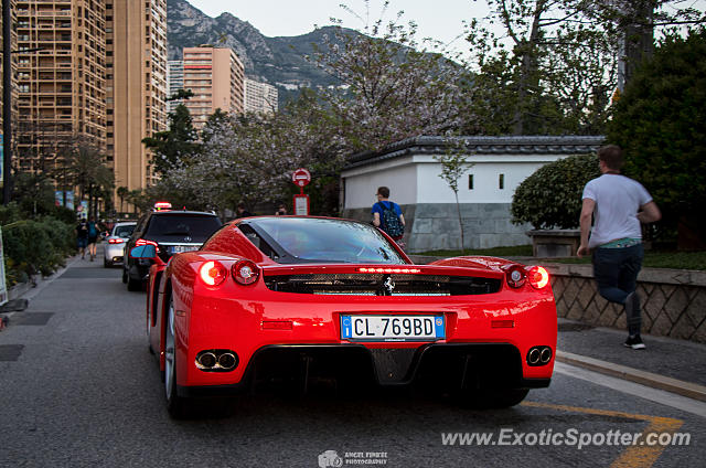 Ferrari Enzo spotted in Monaco, Monaco