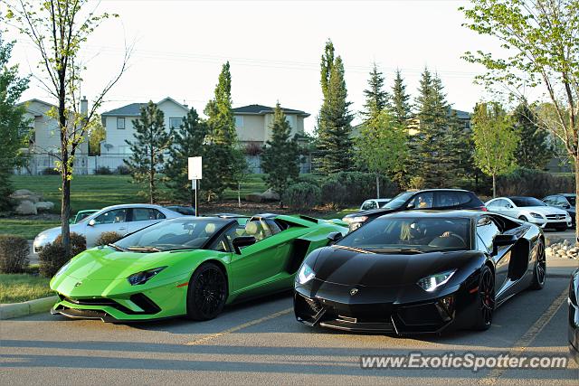 Lamborghini Aventador spotted in Calgary, Canada