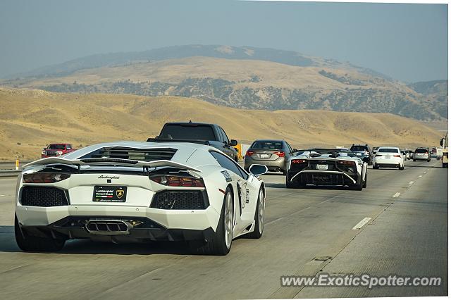 Lamborghini Aventador spotted in Grapevine, California