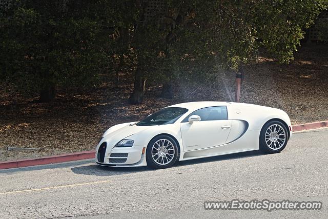 Bugatti Veyron spotted in Carmel, California