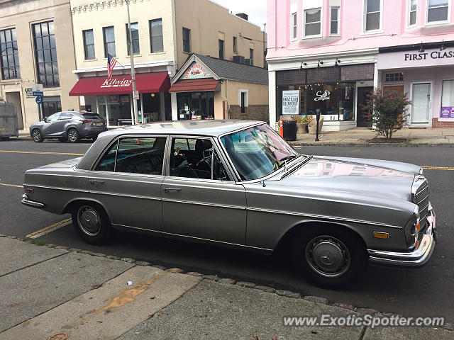 Other Vintage spotted in Westfield, New Jersey