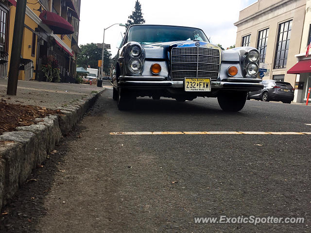 Other Vintage spotted in Westfield, New Jersey