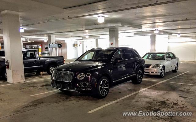 Bentley Bentayga spotted in Charlotte, North Carolina