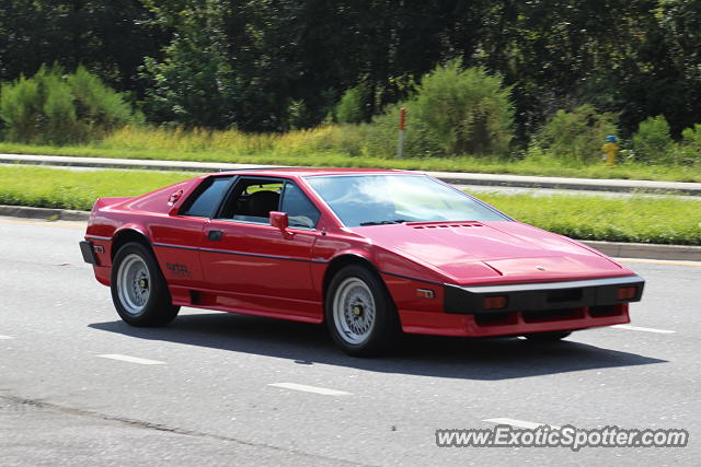 Lotus Esprit spotted in Riverview, Florida