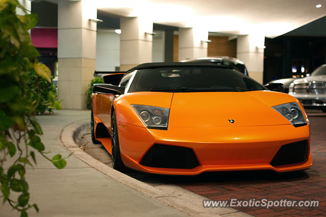 Lamborghini Murcielago spotted in Palm B. Gardens, Florida