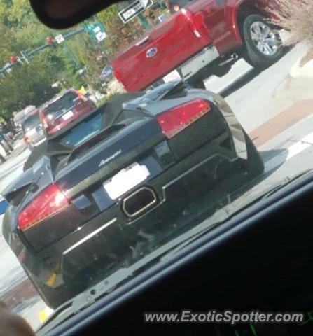 Lamborghini Murcielago spotted in Westfield, New Jersey