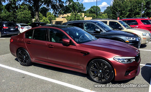 BMW M5 spotted in Cary, North Carolina