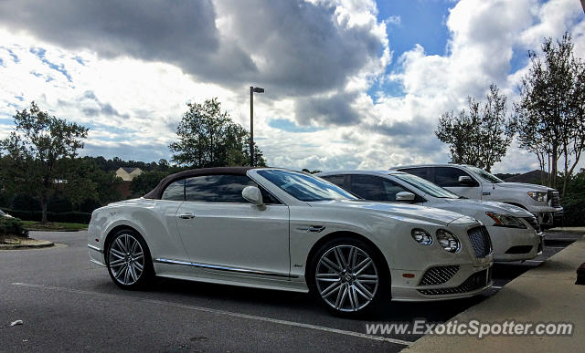 Bentley Continental spotted in Cary, North Carolina